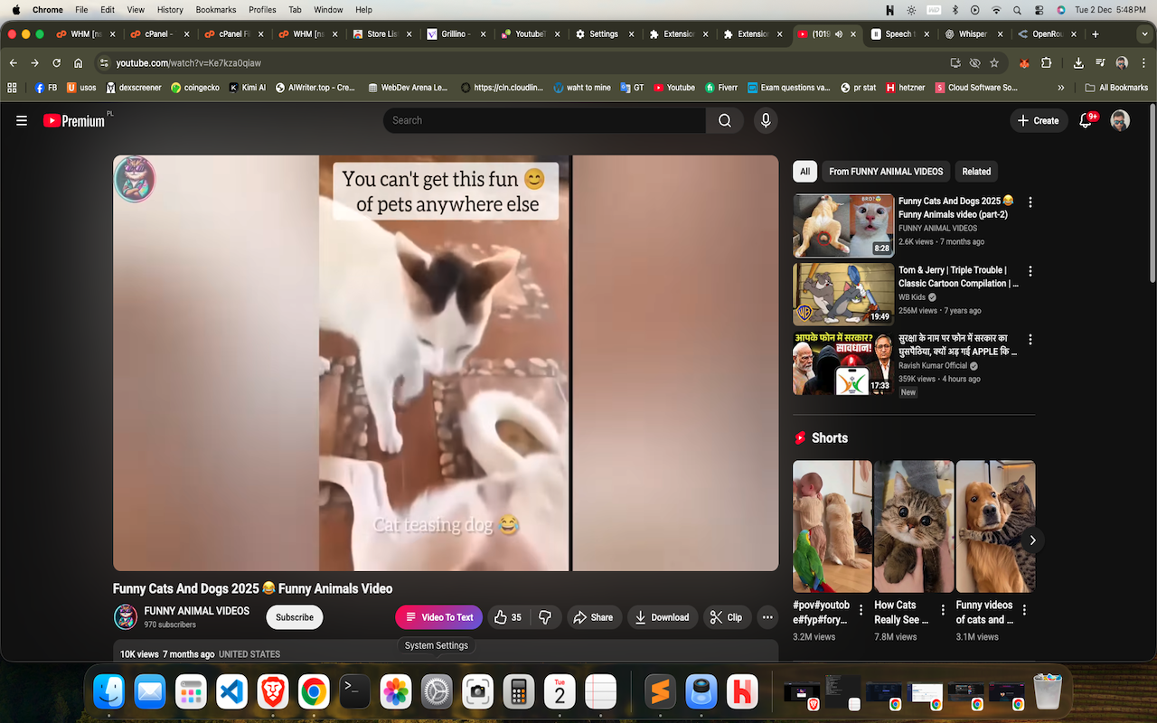 YoutubeTS Chrome Extension on YouTube